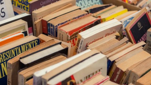 Book Sale with Ravelrig Riding for the Disabled