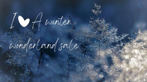 Winter Wonderland Weekend Sale