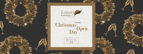 Luxury Gardens UK Christmas Stock and Sale - 4