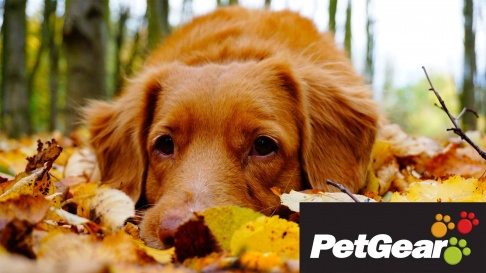 Leisure Outlet | Warehouse Pet Gear Sale