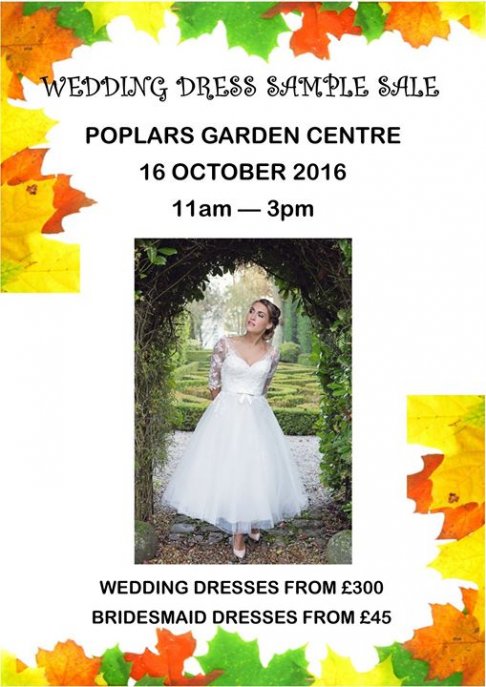 Sample Sale Wedding and Bridesmaid dresses