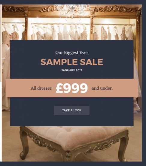 suzanne neville sample sale 2021