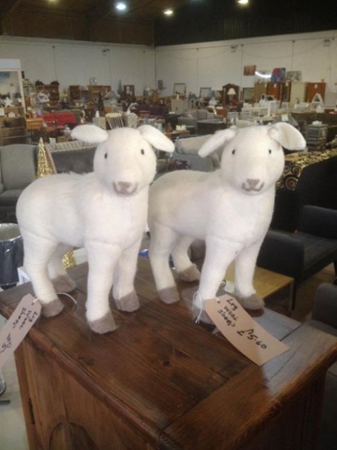 Furniture Factory Outlet - 2